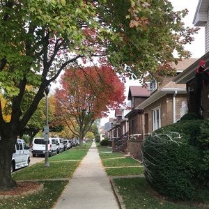 Meet your Posher, Silvia